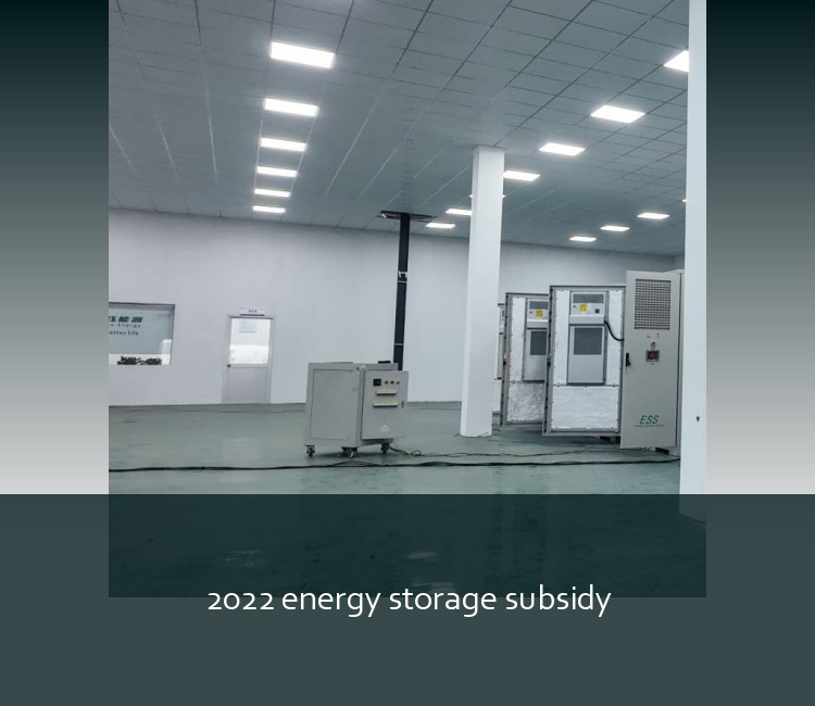 2022 energy storage subsidy