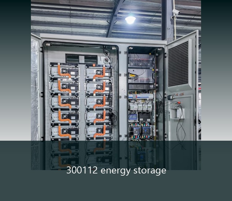 300112 energy storage