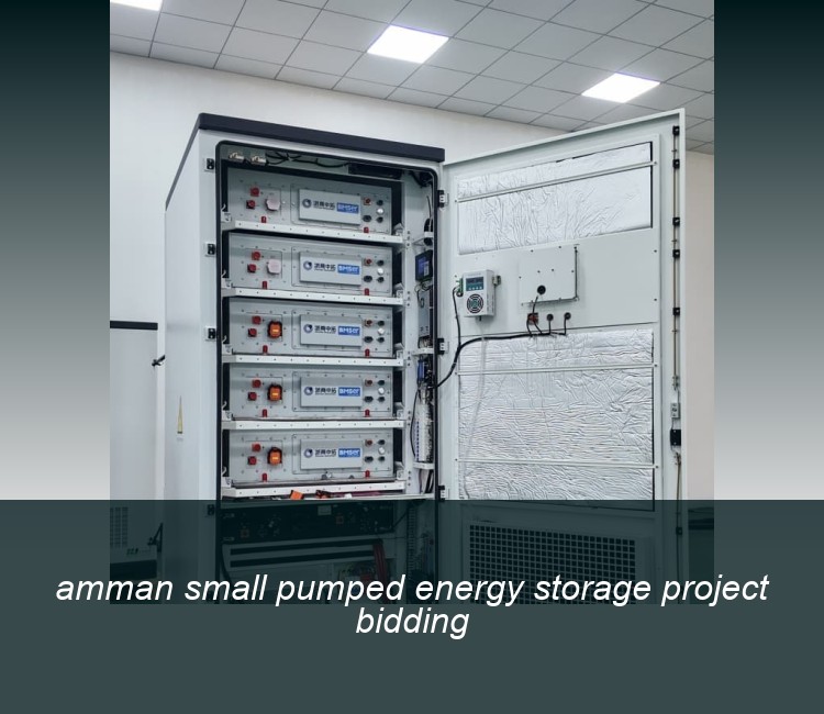 amman small pumped energy storage project bidding