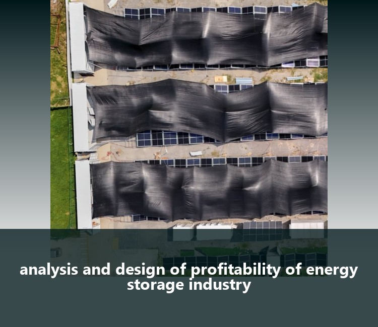 analysis and design of profitability of energy storage industry