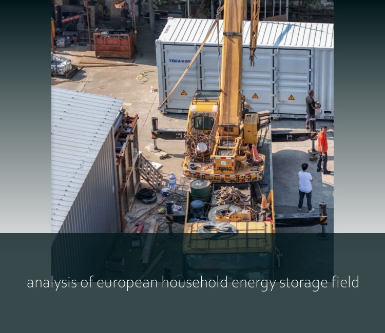 analysis of european household energy storage field