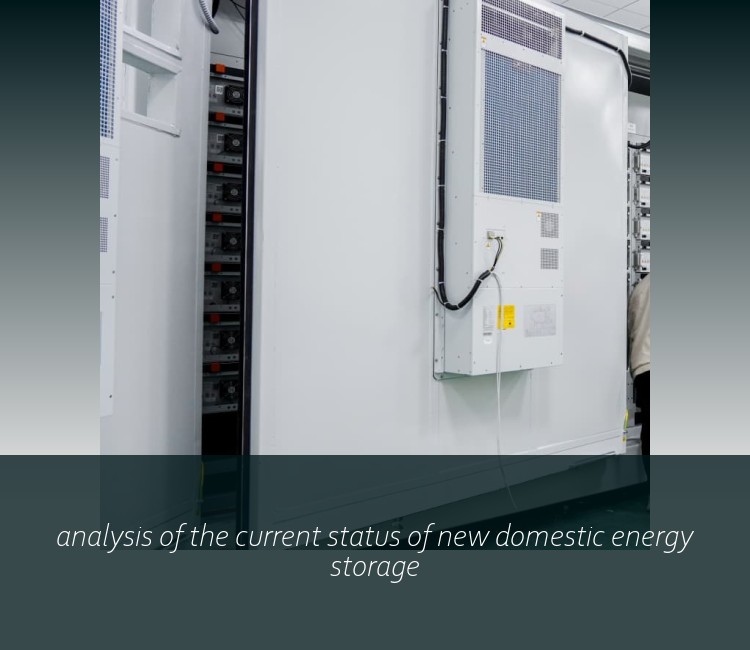 analysis of the current status of new domestic energy storage