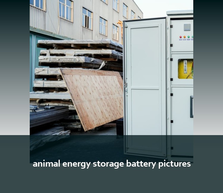 animal energy storage battery pictures