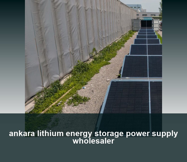 ankara lithium energy storage power supply wholesaler