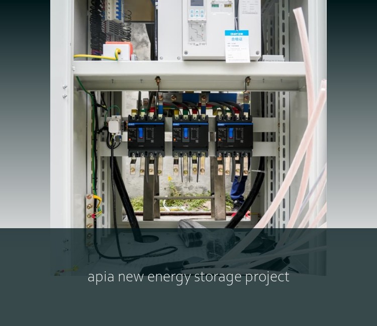 apia new energy storage project