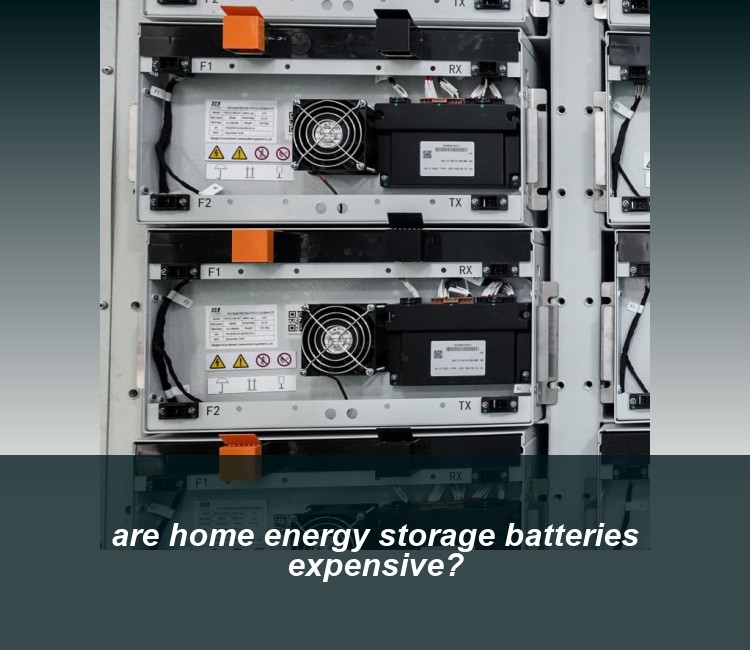 are home energy storage batteries expensive?