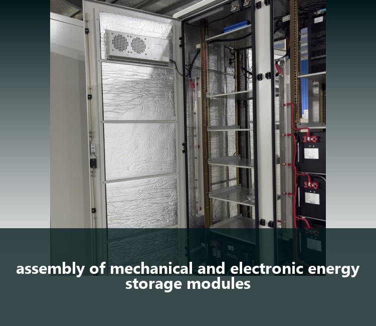 assembly of mechanical and electronic energy storage modules