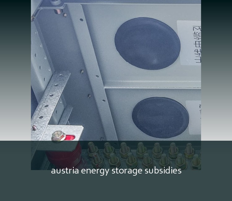 austria energy storage subsidies