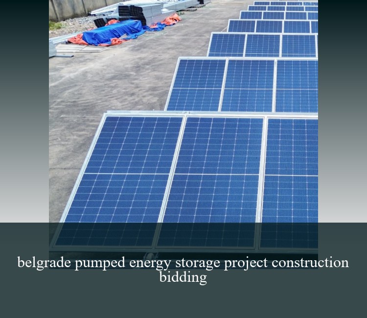 belgrade pumped energy storage project construction bidding