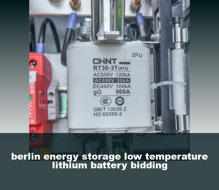 berlin energy storage low temperature lithium battery bidding