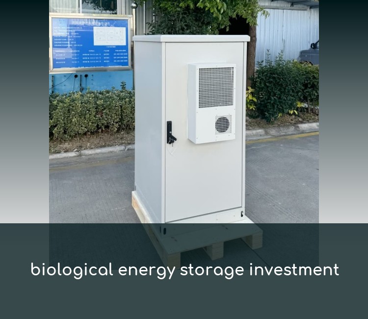 biological energy storage investment