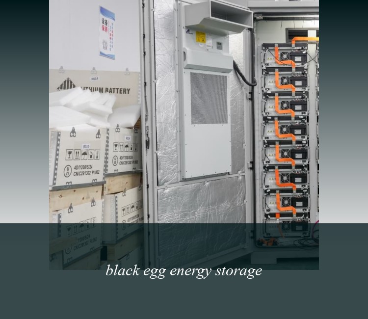 black egg energy storage