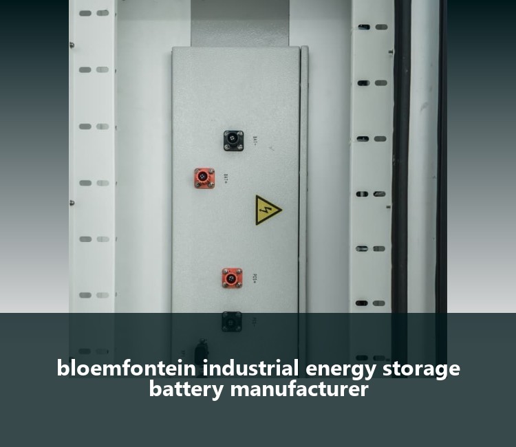bloemfontein industrial energy storage battery manufacturer
