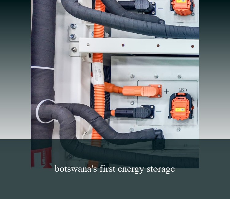 botswana's first energy storage