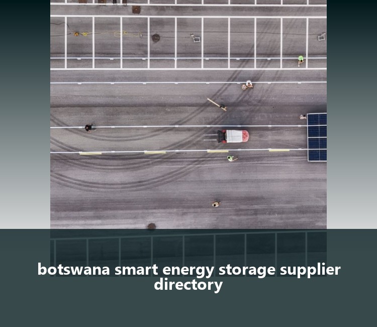 botswana smart energy storage supplier directory