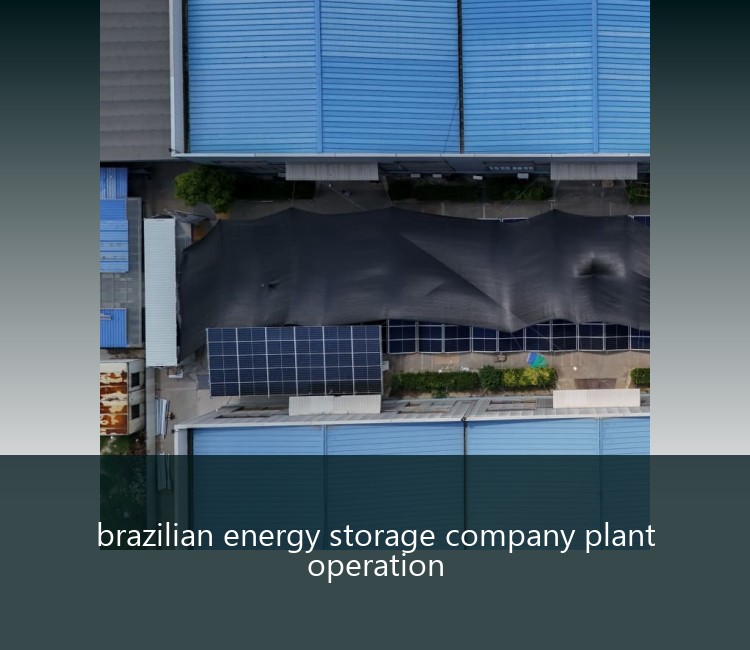 brazilian energy storage company plant operation
