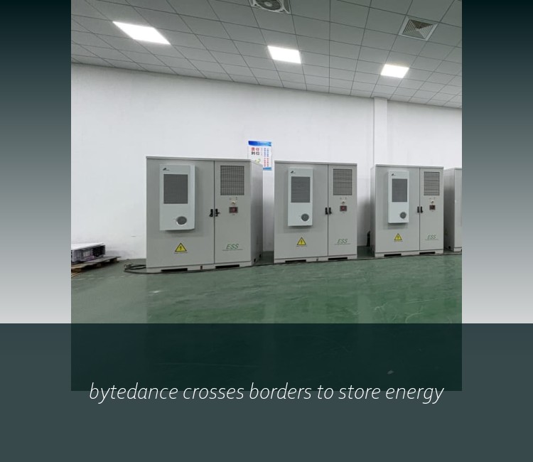 bytedance crosses borders to store energy