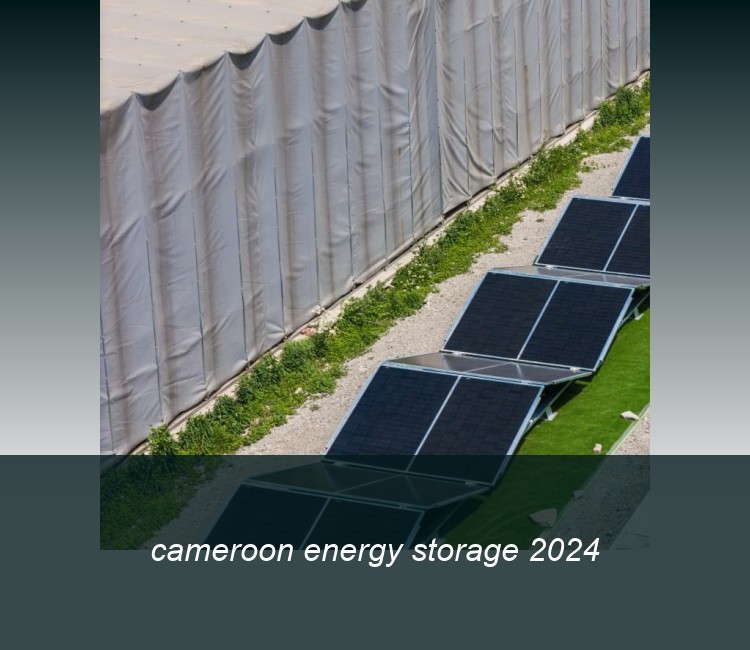 cameroon energy storage 2024