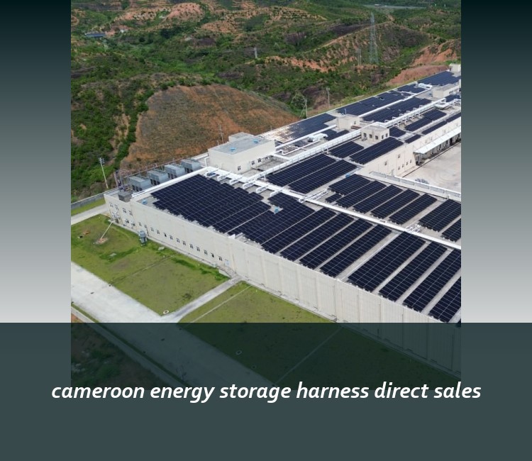 cameroon energy storage harness direct sales