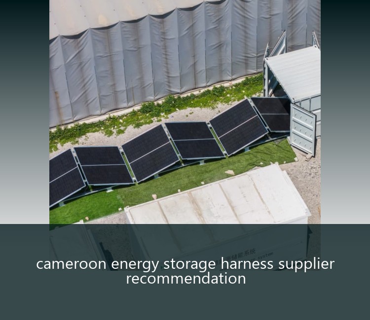 cameroon energy storage harness supplier recommendation
