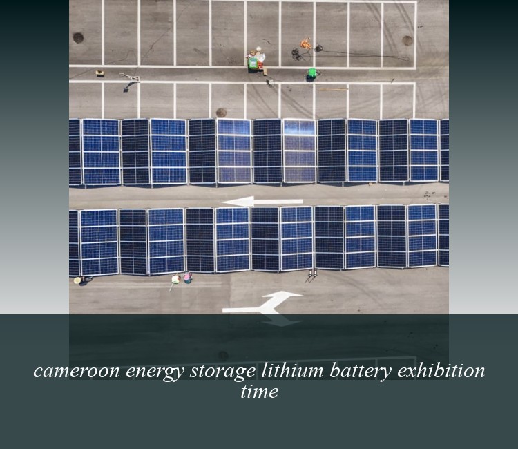 cameroon energy storage lithium battery exhibition time