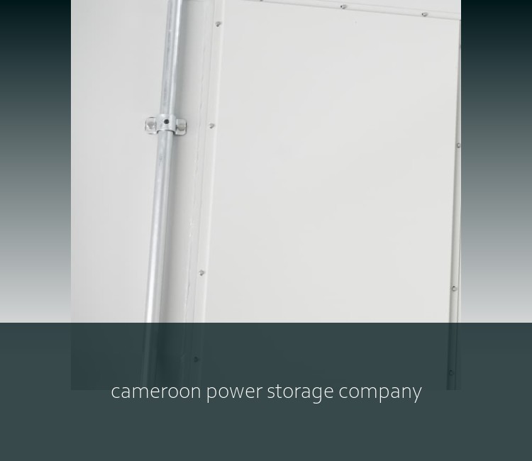 cameroon power storage company