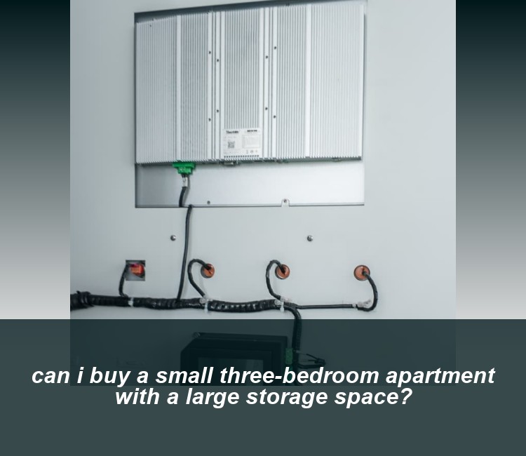 can i buy a small three-bedroom apartment with a large storage space?