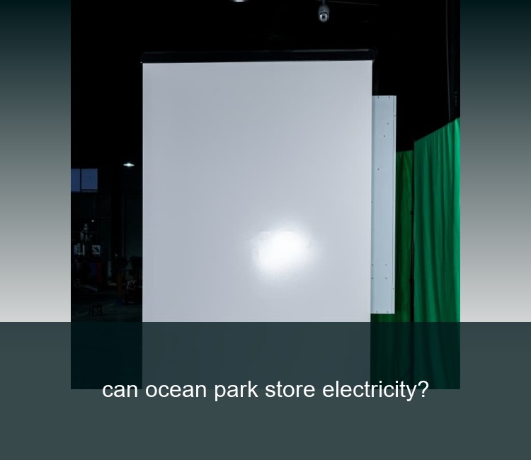 can ocean park store electricity?
