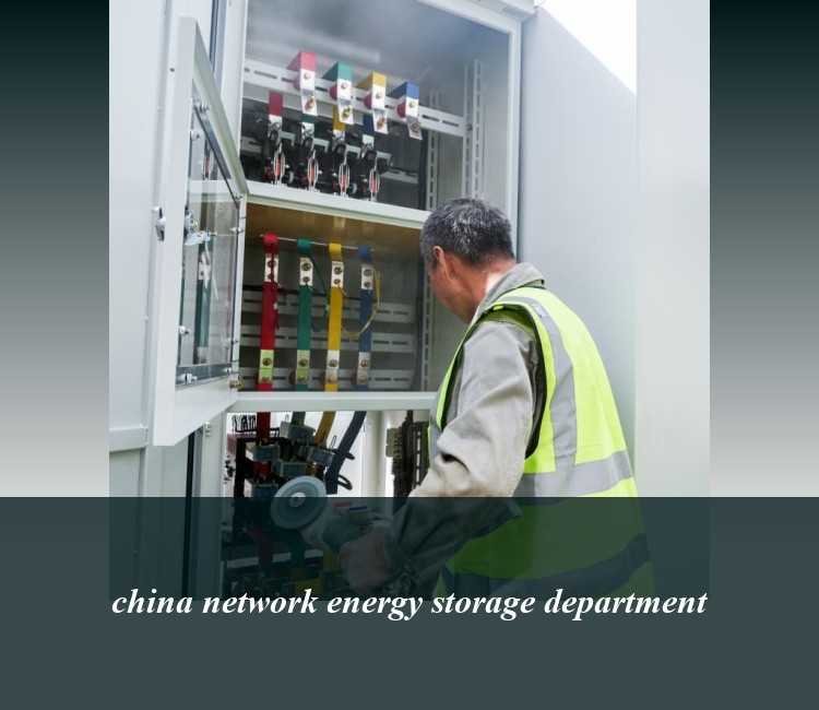 china network energy storage department