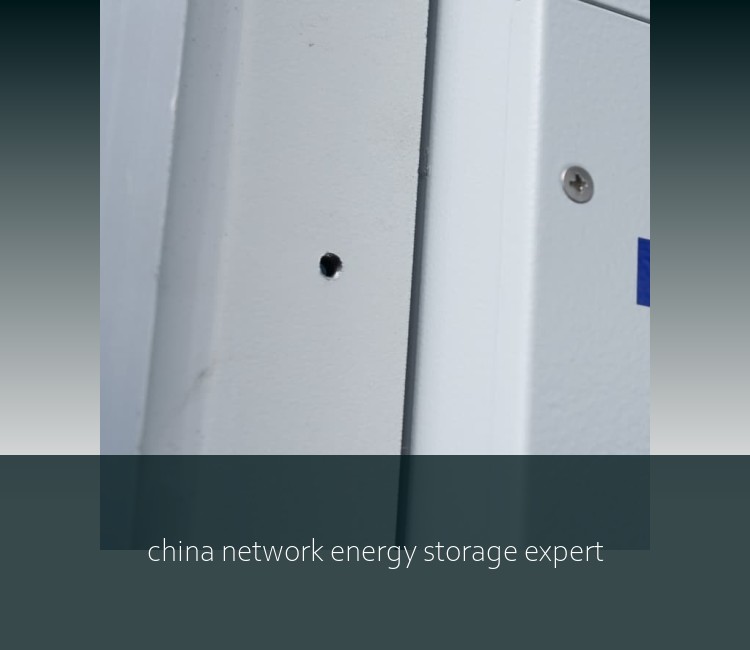 china network energy storage expert
