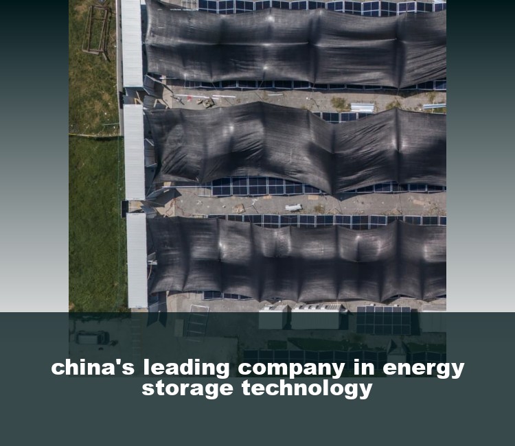 china's leading company in energy storage technology