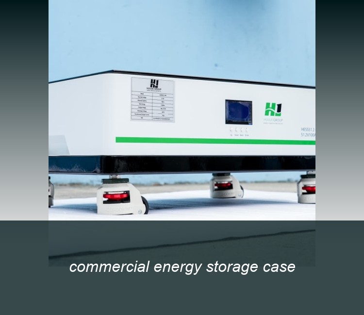 commercial energy storage case