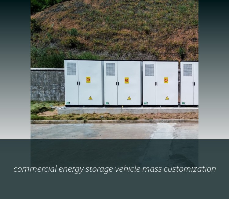 commercial energy storage vehicle mass customization