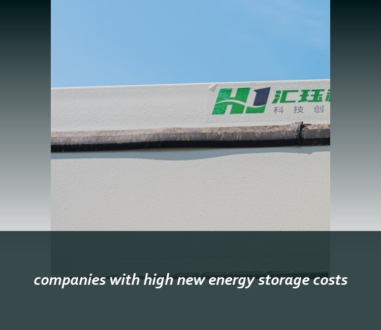 companies with high new energy storage costs