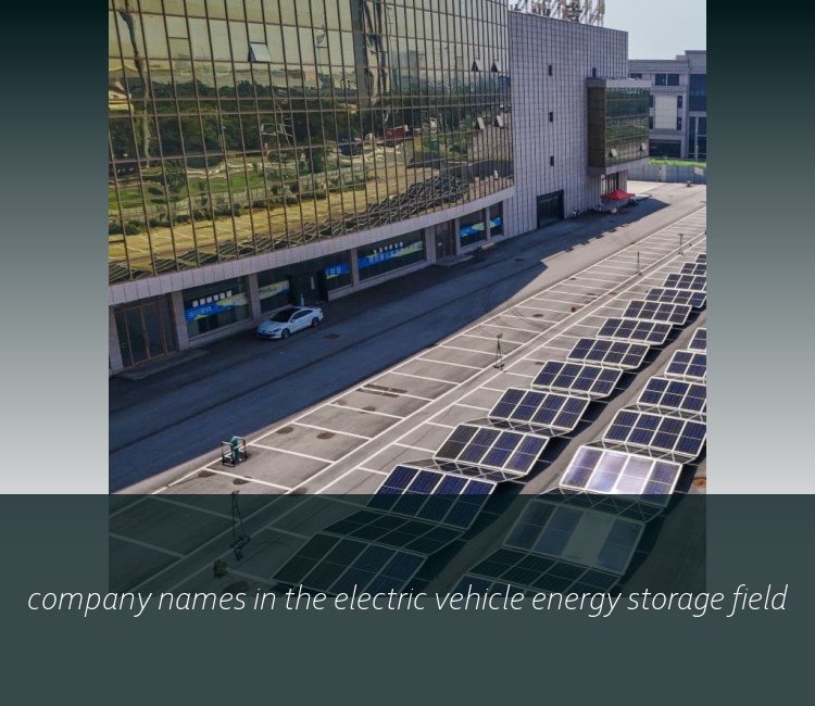 company names in the electric vehicle energy storage field