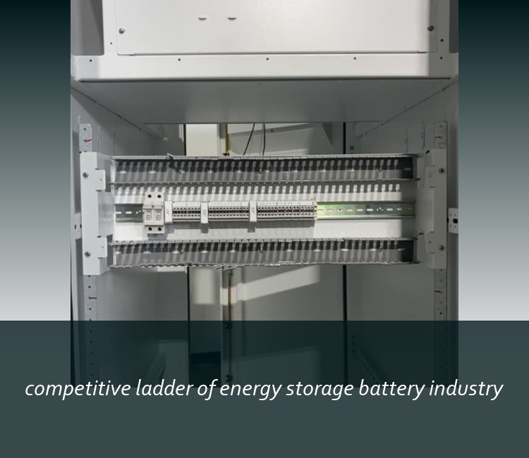 competitive ladder of energy storage battery industry