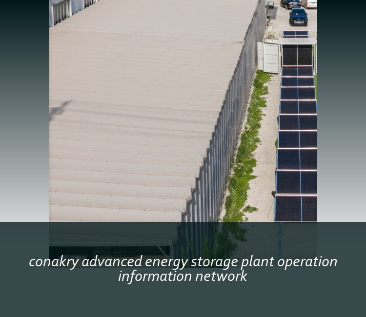 conakry advanced energy storage plant operation information network