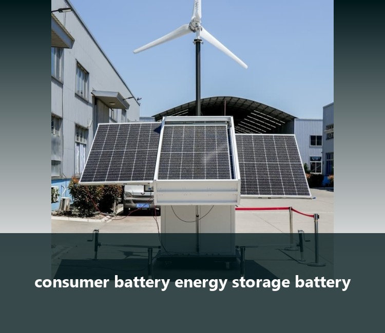 consumer battery energy storage battery