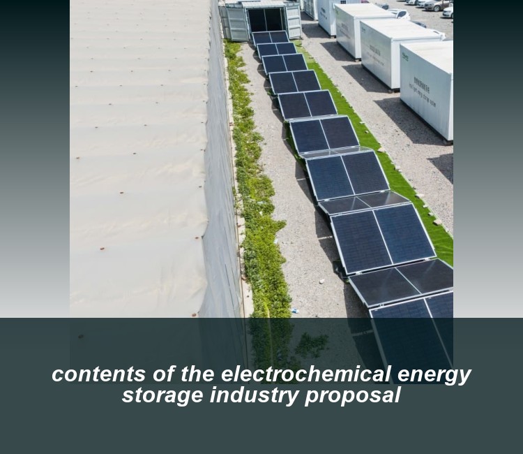 contents of the electrochemical energy storage industry proposal