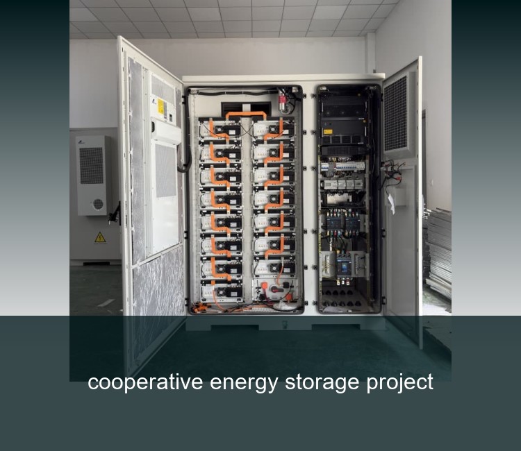 cooperative energy storage project
