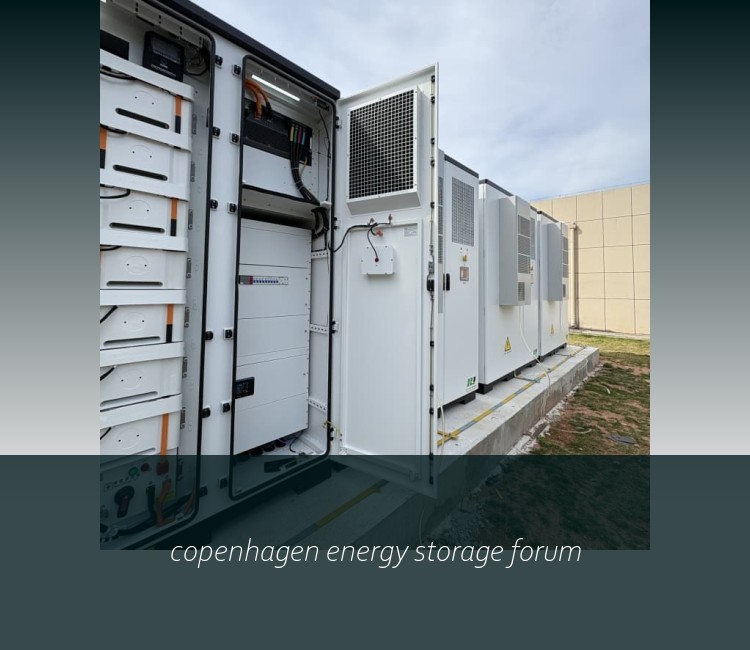 copenhagen energy storage forum
