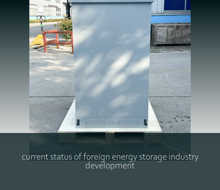 current status of foreign energy storage industry development