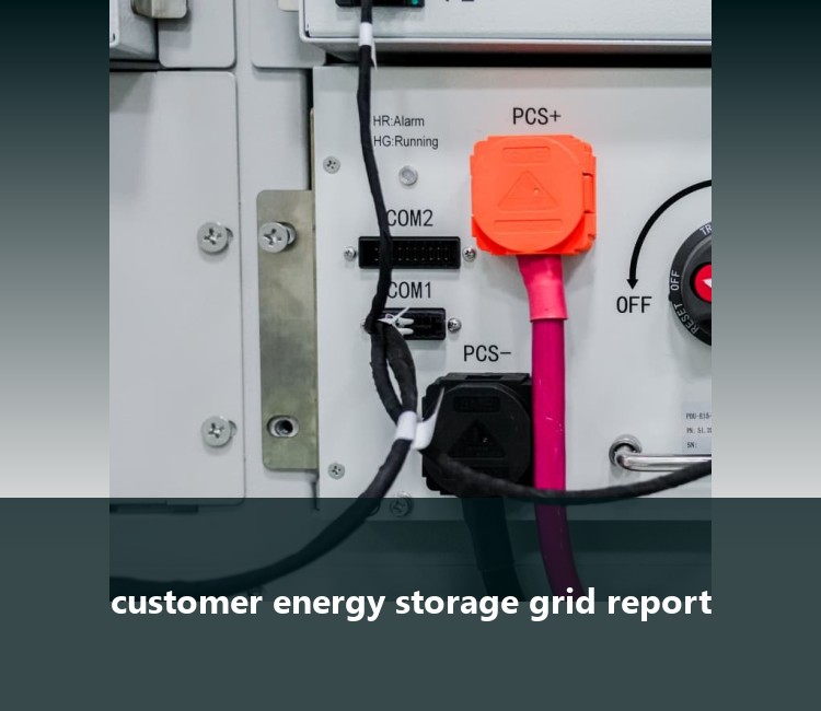 customer energy storage grid report