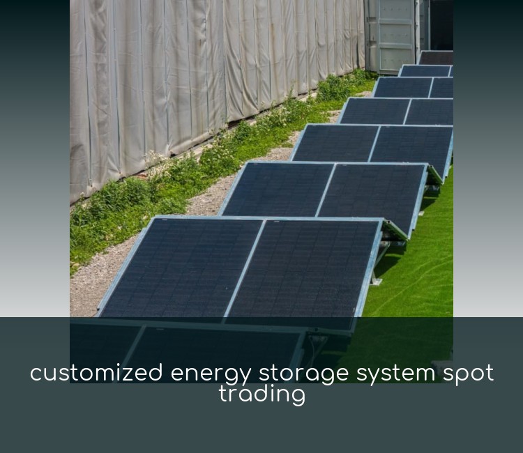 customized energy storage system spot trading