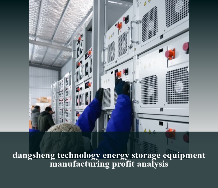 dangsheng technology energy storage equipment manufacturing profit analysis
