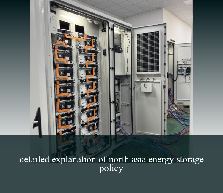detailed explanation of north asia energy storage policy