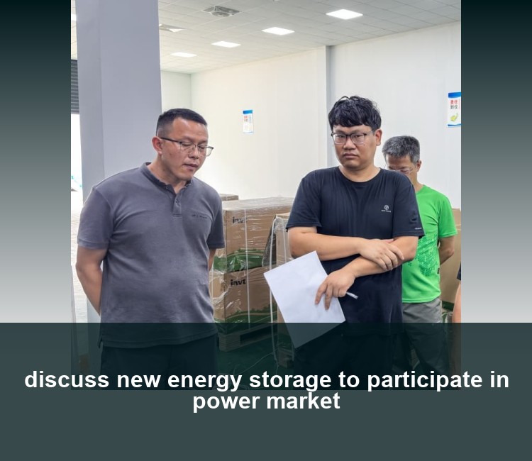 discuss new energy storage to participate in power market