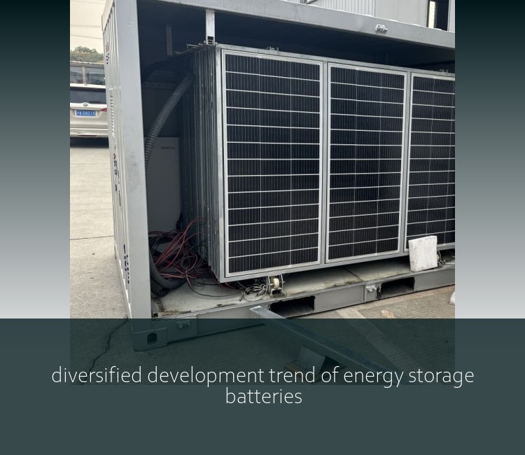 diversified development trend of energy storage batteries