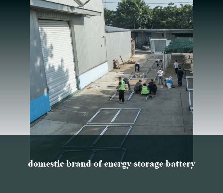 domestic brand of energy storage battery