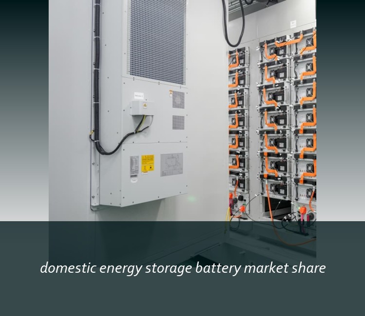 domestic energy storage battery market share
